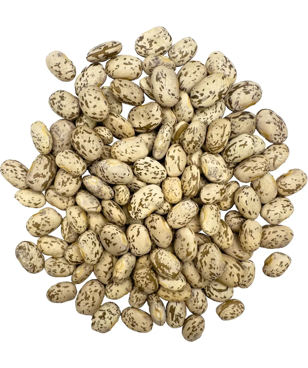 Clear Creek Pinto Beans — view 2